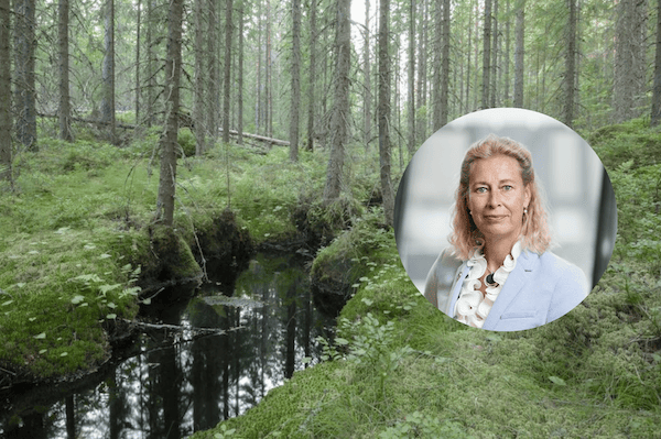 Derfor har bæredygtighedschefen fået en nøglerolle