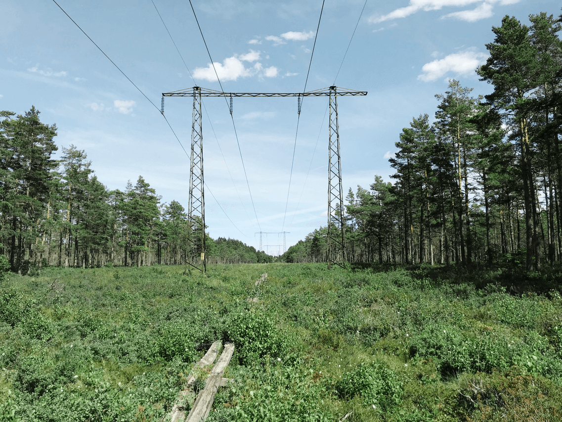 Medium Screen 72 DPI-Vattenfall_Distribution_Biodiversity_40897 (1)