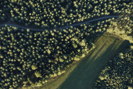 bæredygtig virksomhed