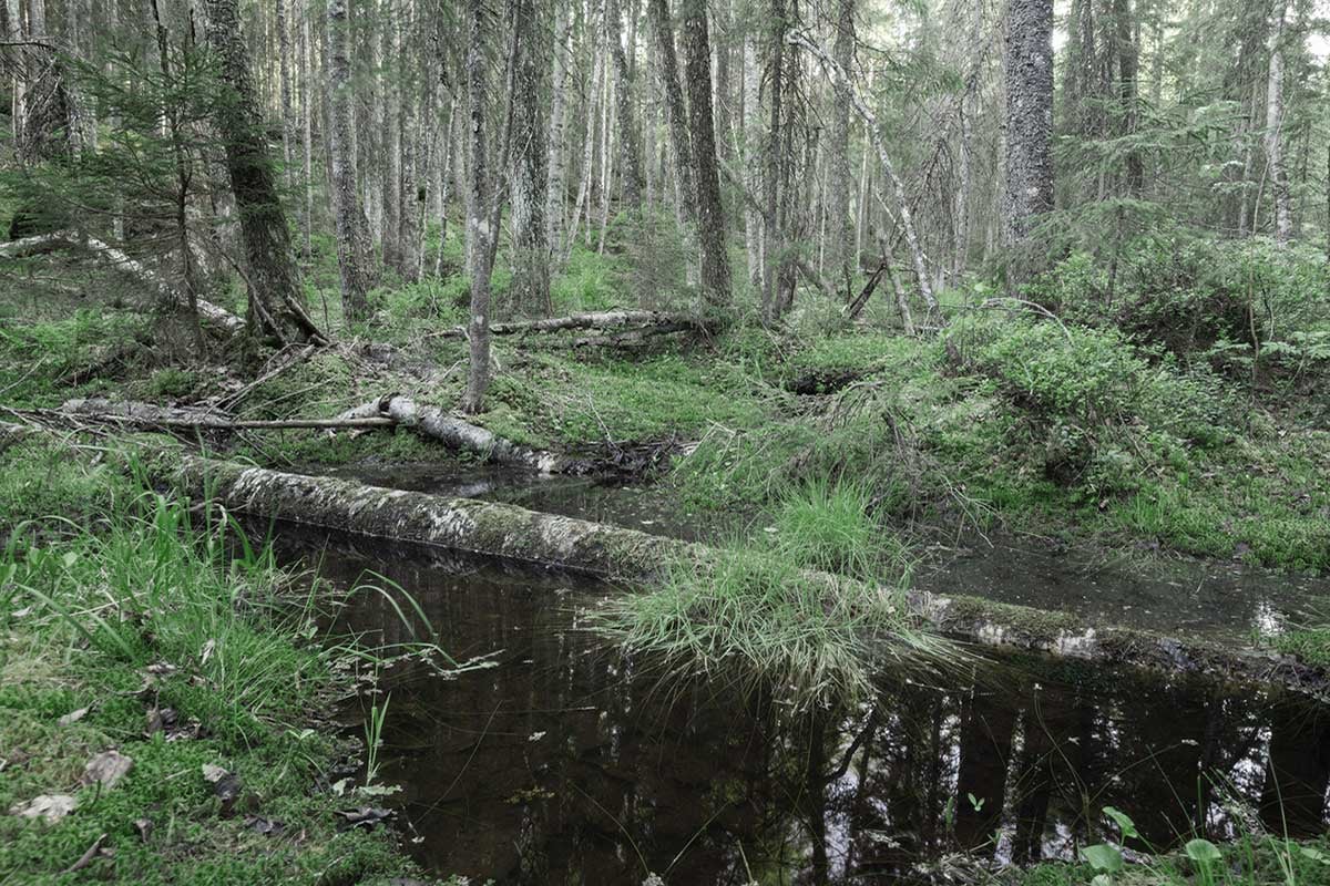 miljøkrav