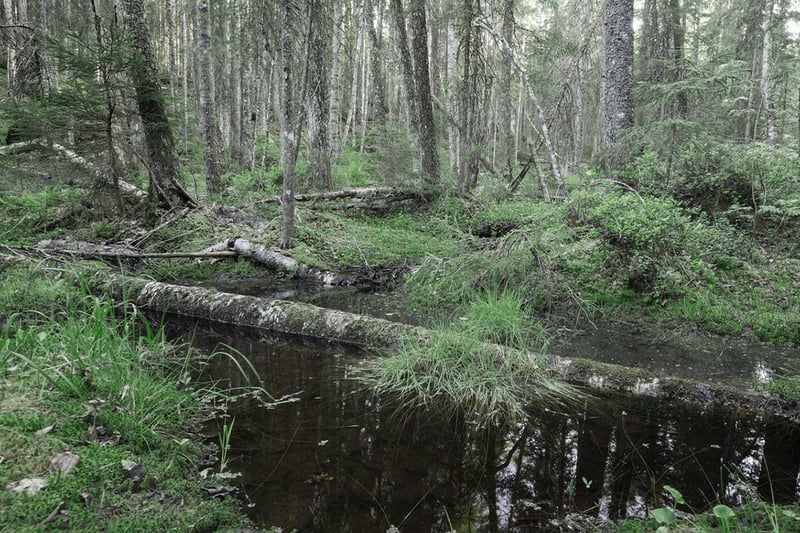 miljøkrav